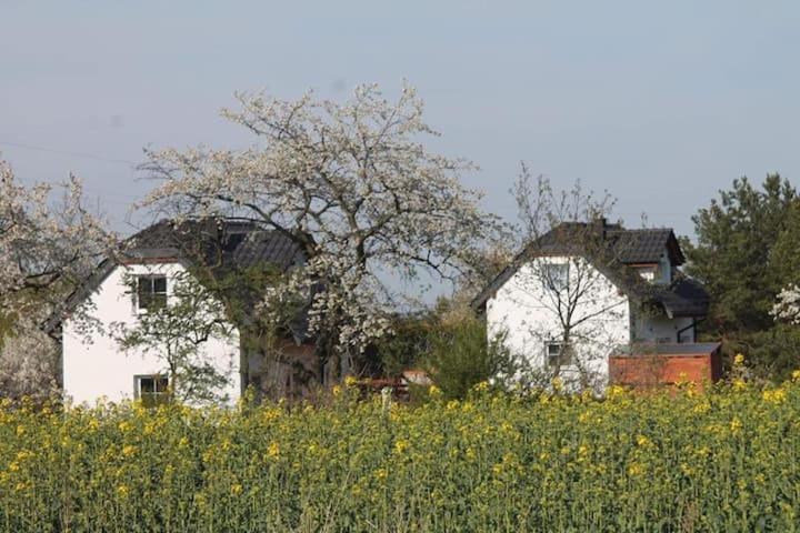 Domek W Bialej - Mak Marcinowice Екстер'єр фото